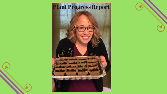 Read more about the article Plant Progress Report- A How To