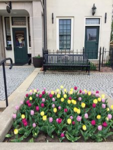 Tulip Time From A New Perspective by Jodi M Noord.