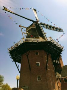 Tulip Time From A New Perspective by Jodi M Noord 3