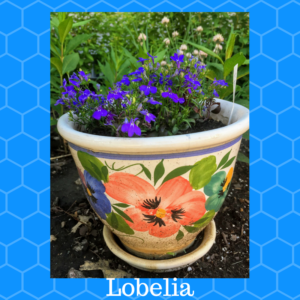 Spirit Lifting Blooms by Jodi M Noord 6