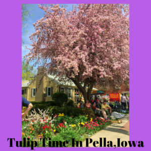 Spirit Lifting Blooms by Jodi M Noord 9