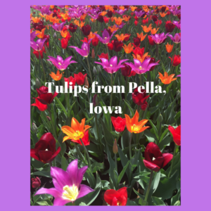 Spirit Lifting Blooms by Jodi M Noord 11