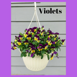 Spirit Lifting Blooms by Jodi M Noord 13