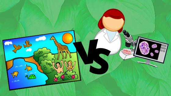 Read more about the article The Debate Begins