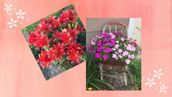 Read more about the article This Plants For You, Friend