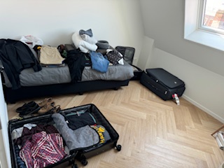 Jodi M Noord Messy Bed