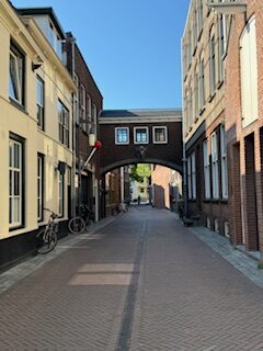 Jodi M Noord Cow Head