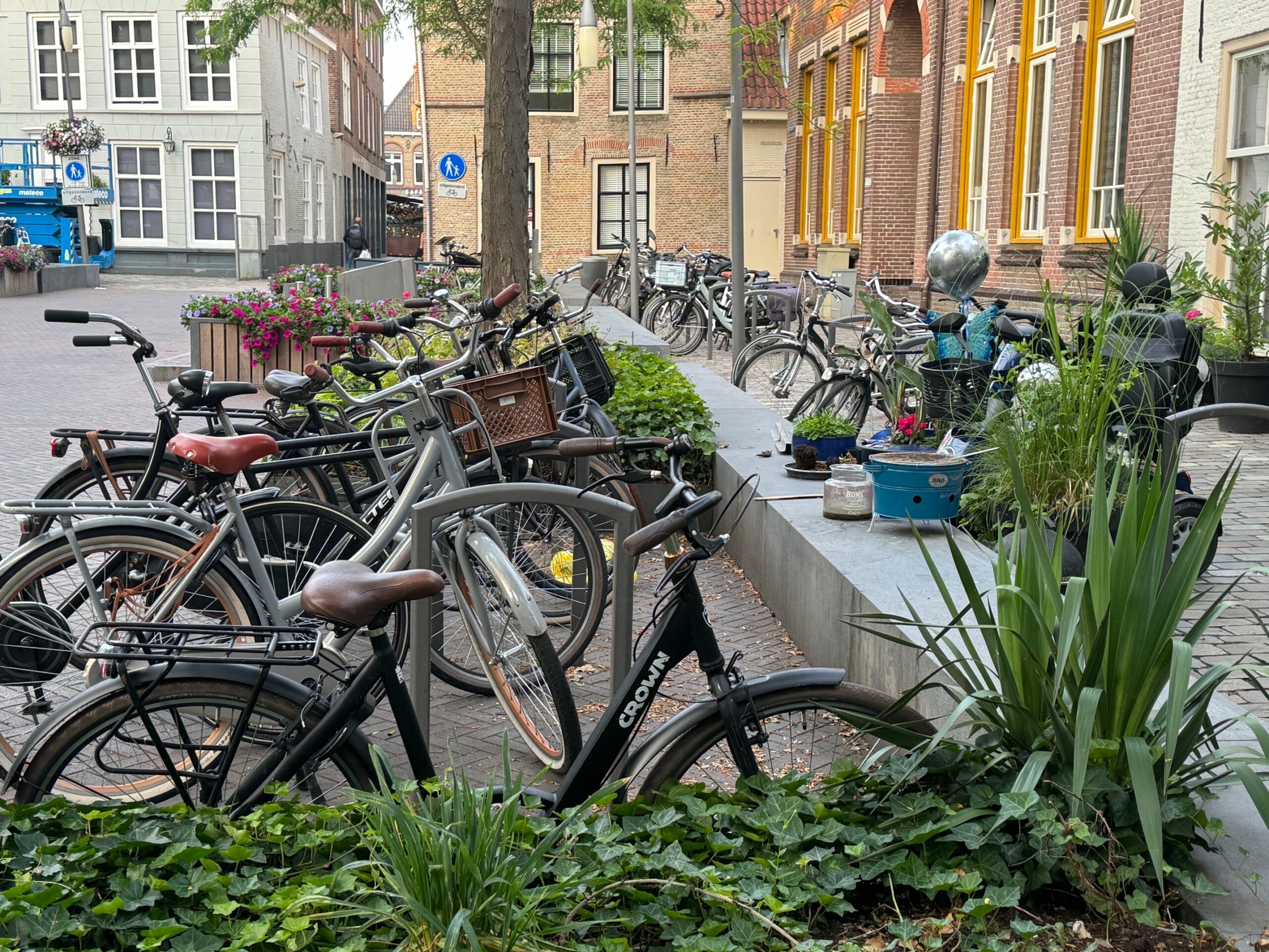 Read more about the article Watch Out for the Bikes!