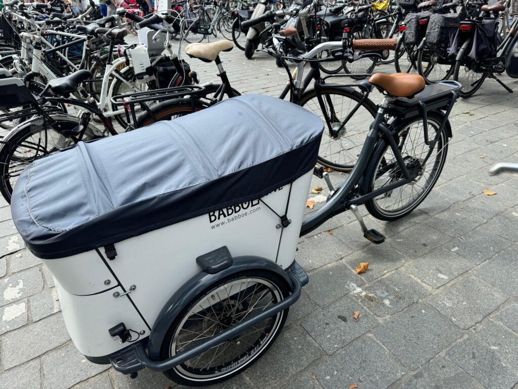 Jodi M Noord covered box bike