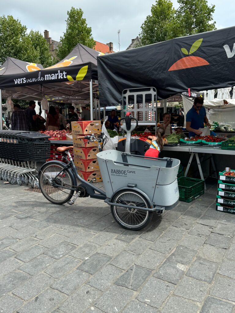 Jodi M Noord Market Box bike