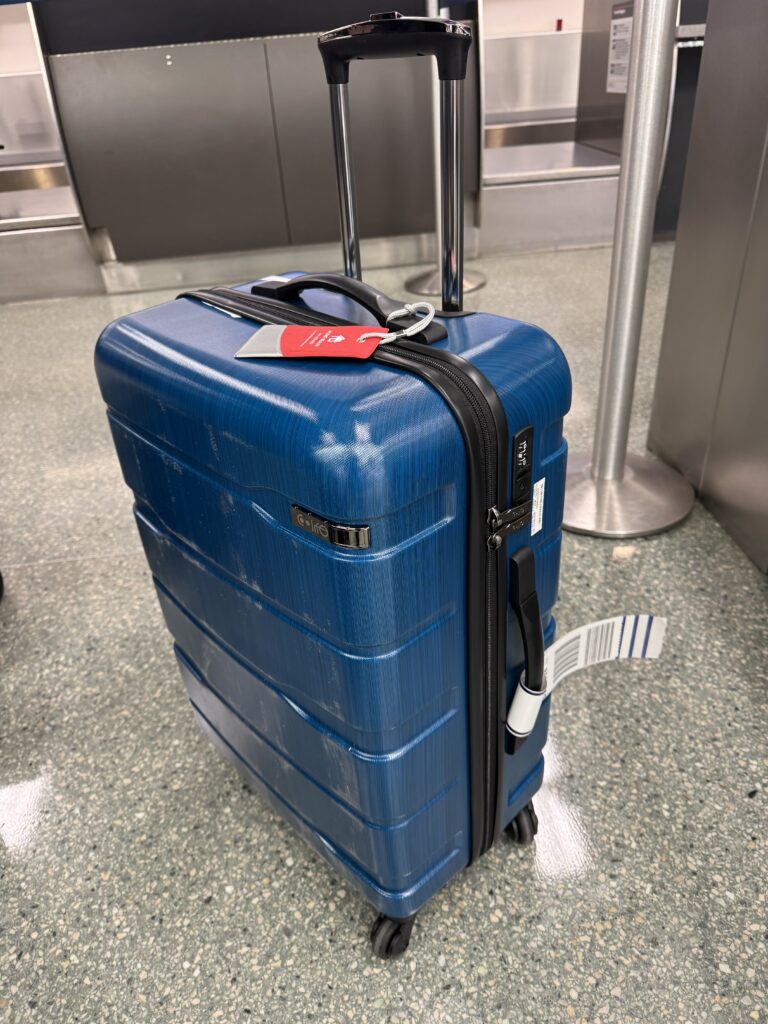 Jodi M Noord Suitcase