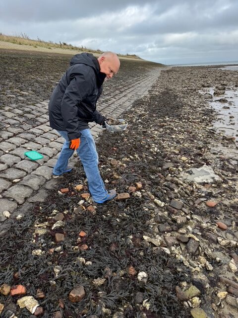 Jodi M Noord Jer picking up Oysters