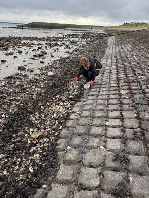 JOdi M Noord Jodi on haunches looking for oy