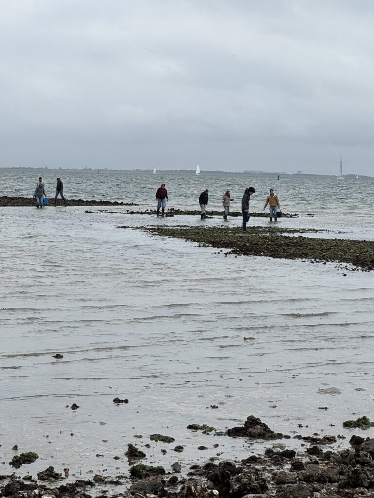 Jodi M Noord mudflats in distance 2