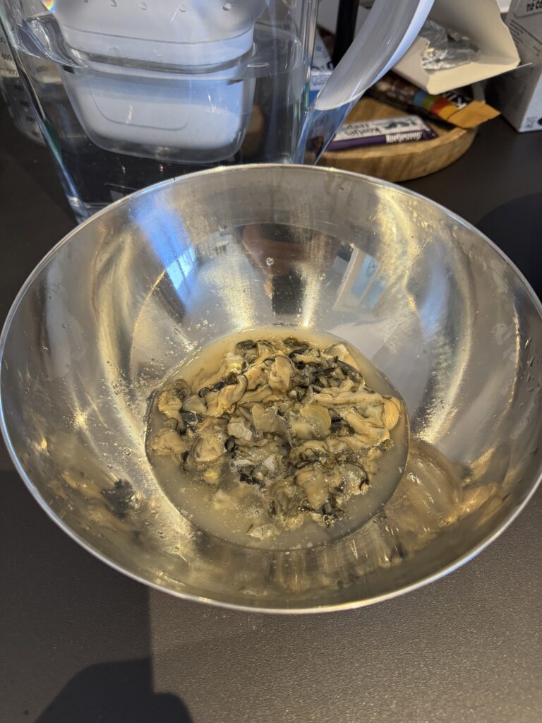 Jodi M Noord Oysters in Bowl