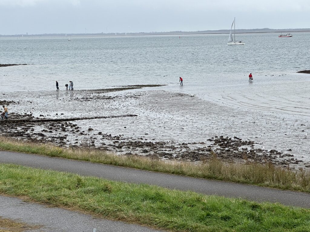 Jodi M Noord Oysterers when tide is coming in