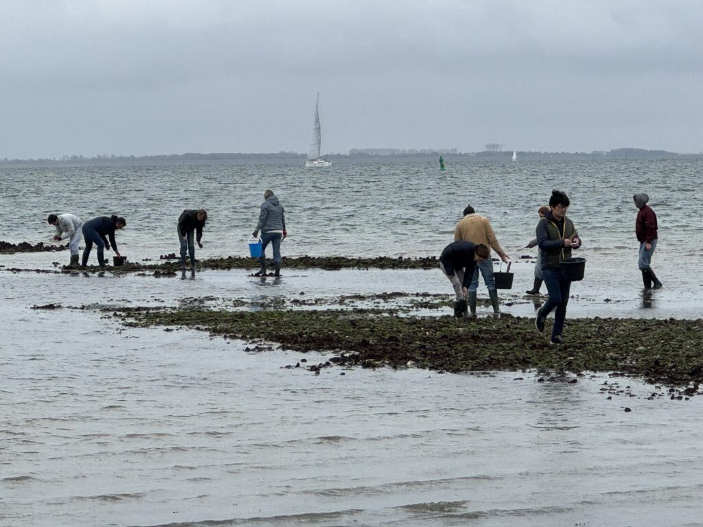 Jodi M Noord Oysterers with buckets on mudflats
