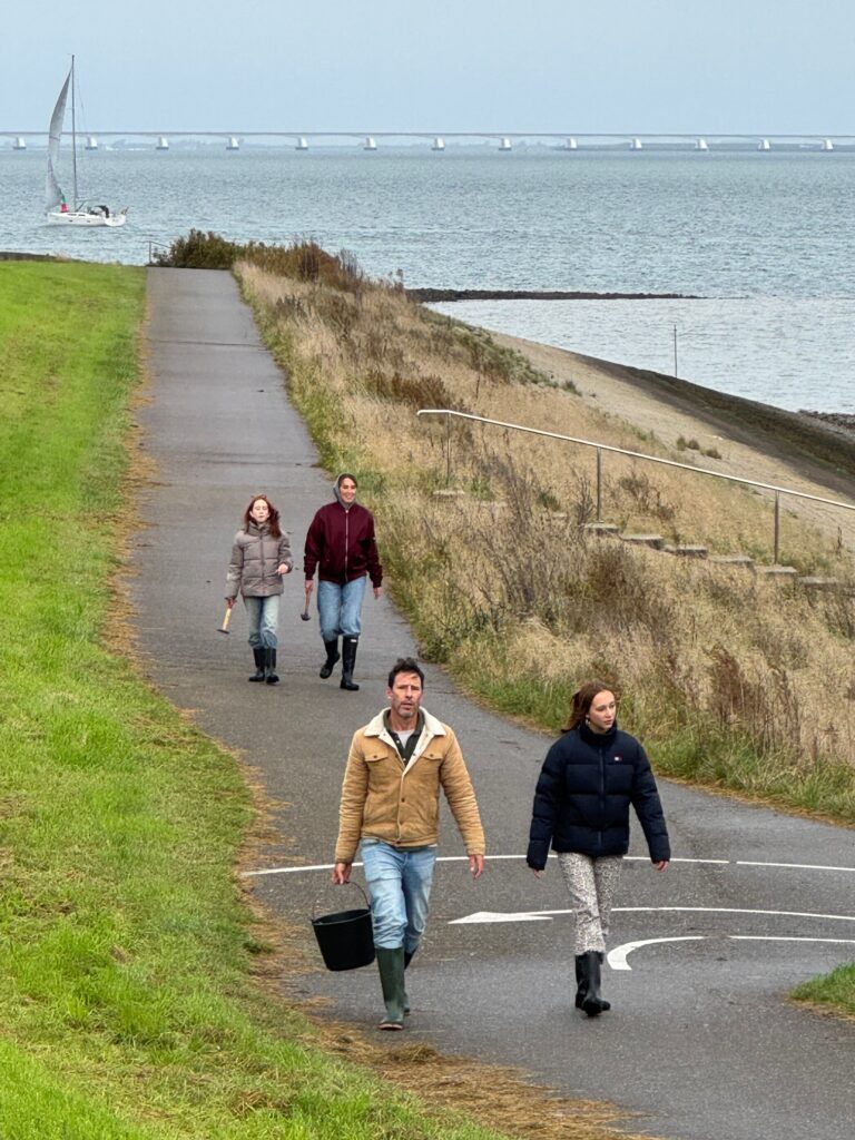 Jodi M Noord Brining in the Spoils