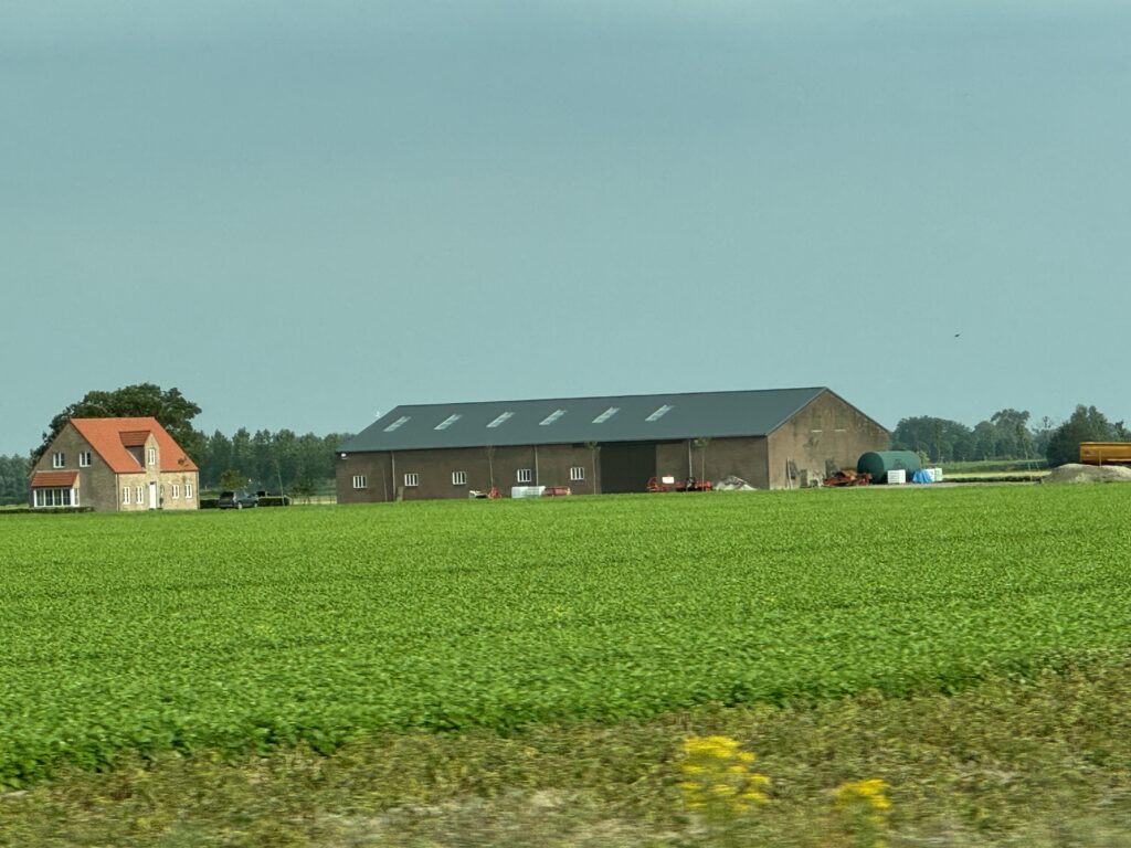 Jodi M NOord farm