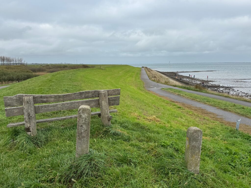 Jodi M Noord Ocean Scene