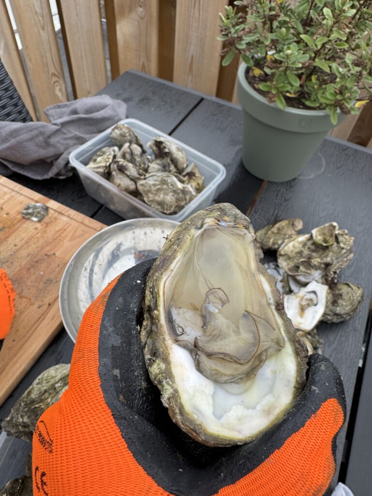 Jodi M Noord raw oyster on deck