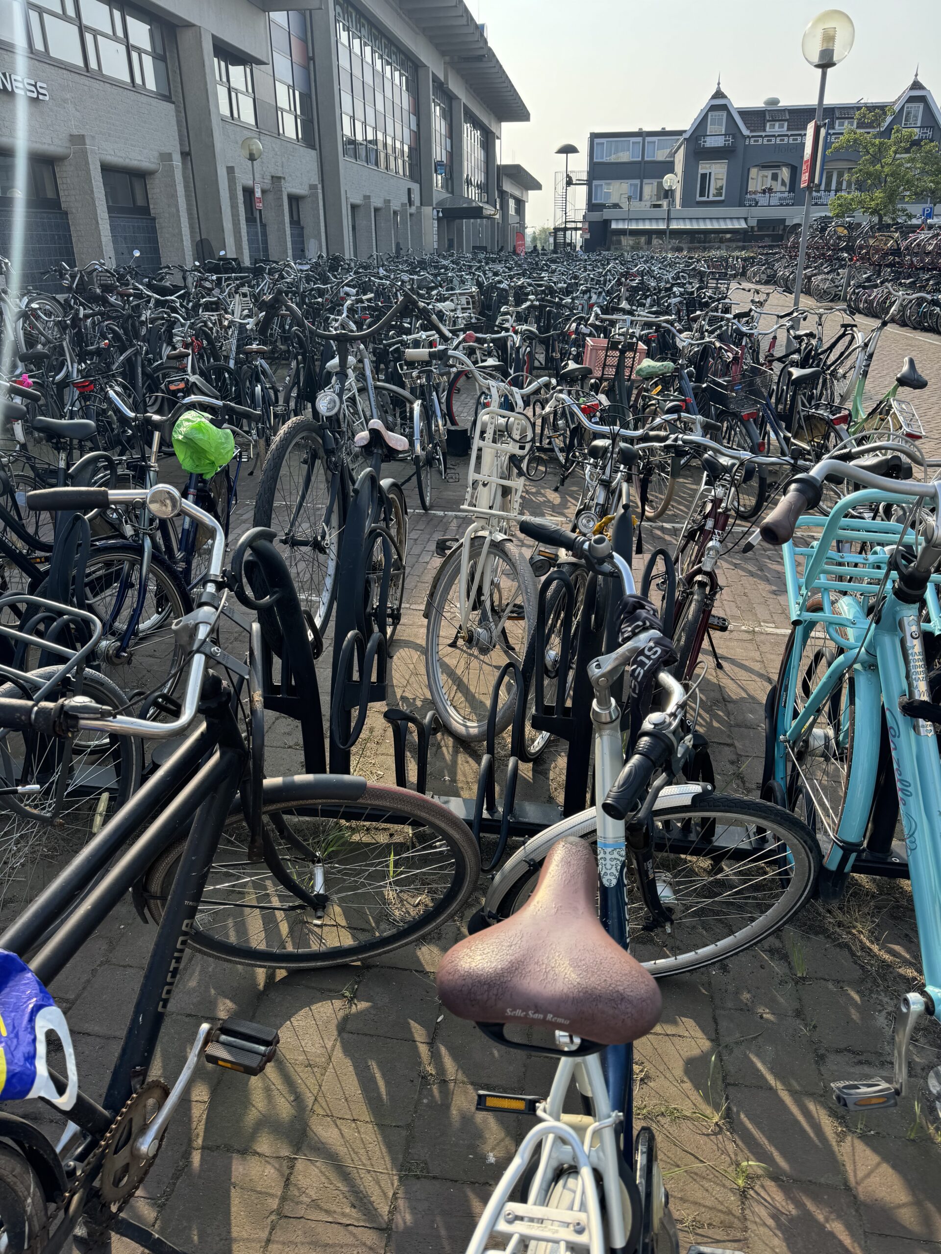 Read more about the article Back in Dutch Land