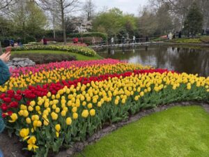 Read more about the article In My Glory In Keukenhof