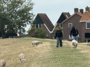 Read more about the article Up North to Friesland