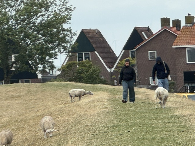 You are currently viewing Up North to Friesland